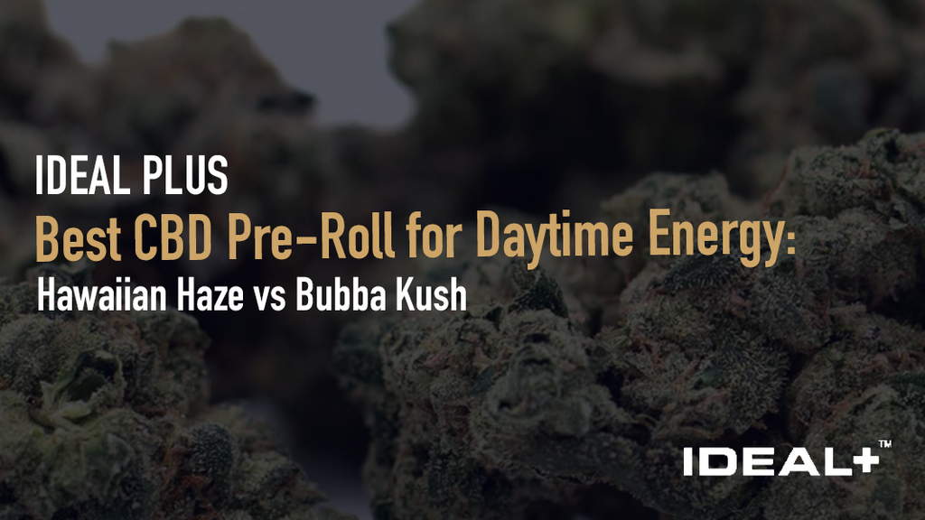 Looking for the best daytime CBD pre-roll? See why Hawaiian Haze outperforms Bubba Kush for energy and focus.