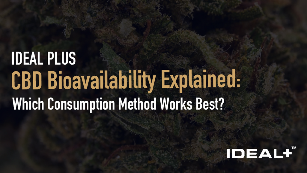  Learn how CBD bioavailability works, why your consumption method matters, and which format delivers the most CBD to your bloodstream in 2026.