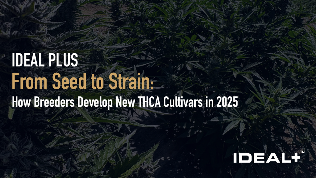 From Seed to Strain