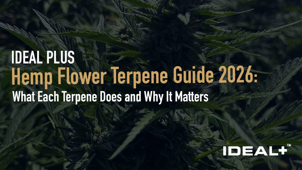 Discover the ultimate hemp flower terpene guide for 2026. Learn what myrcene, limonene, caryophyllene, linalool, and pinene do.