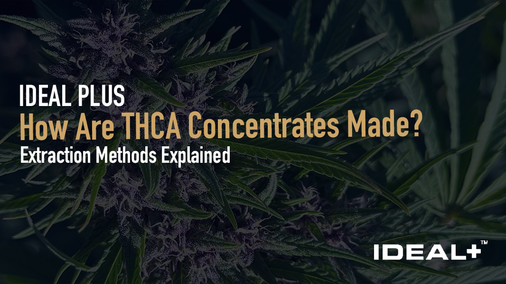  Discover how THCA concentrates are made — from BHO and CO2 extraction to solventless live rosin and diamond mining. 