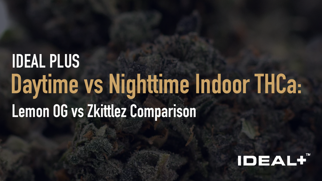 Indoor THCa