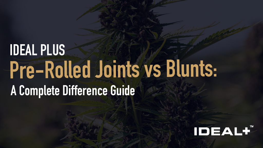 Pre-Rolled Joints vs Blunts: 