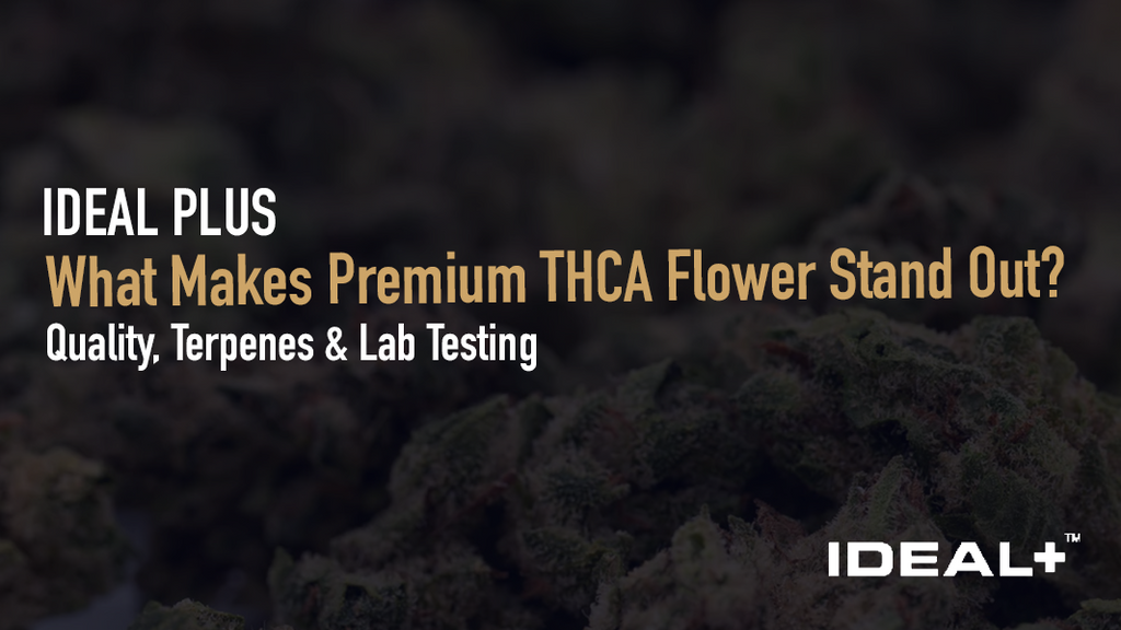 Learn what separates premium THCA flower from average product — cultivation method, terpene profile, cure quality, potency range. 