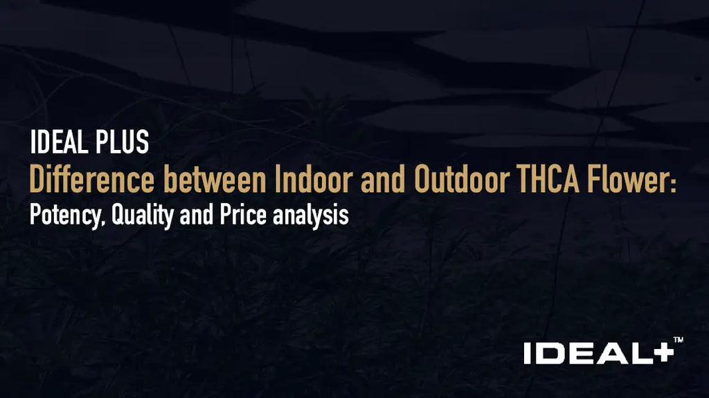 Indoor vs outdoor