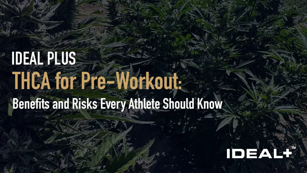 THCA for Pre-Workout