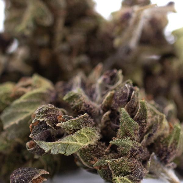 Bubba Kush CBD Hemp Flower Full-Term #2 Smalls