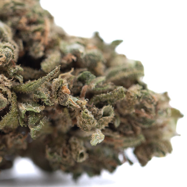 Glue CBD Hemp Flower Full-Term