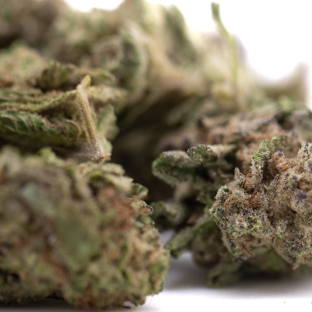 Gas Monkey THCa Greenhouse Smalls Wholesale