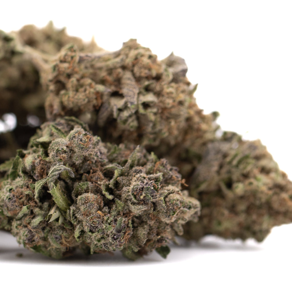 Giggle Gas THCa Hemp Flower Greenhouse Wholesale