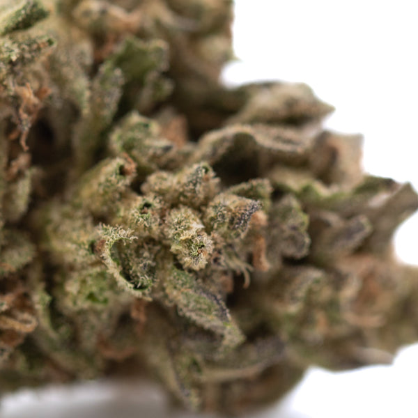 Ice Cream THCa Flower Full-Term