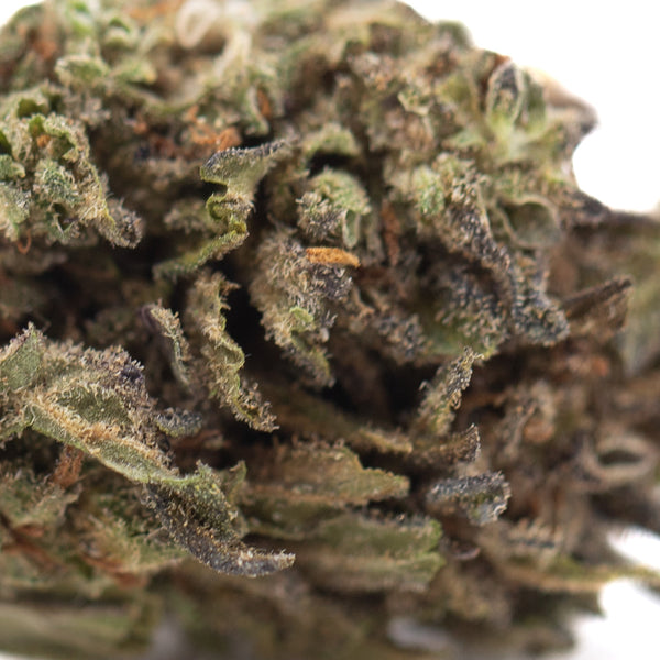 Magik CBD Hemp Flower Full-Term