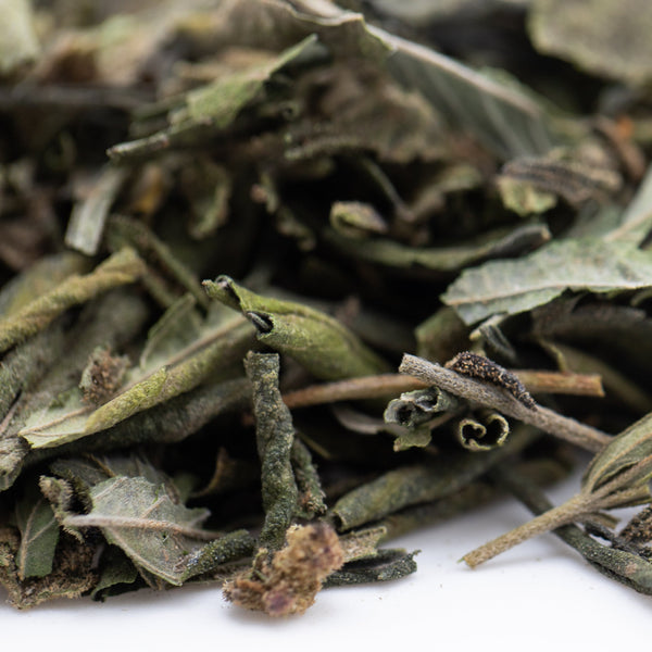 Nascar Greenhouse THCa Trim Wholesale