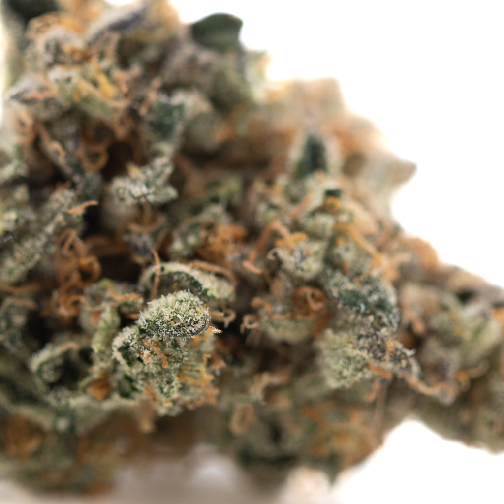 Orange Sumo Indoor THCa Flower