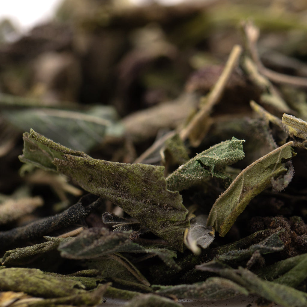 Purple Wedding Greenhouse THCa Trim Wholesale