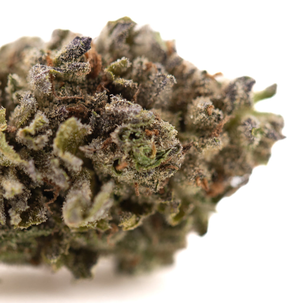 Rozay Cake THCa Hemp Flower Greenhouse