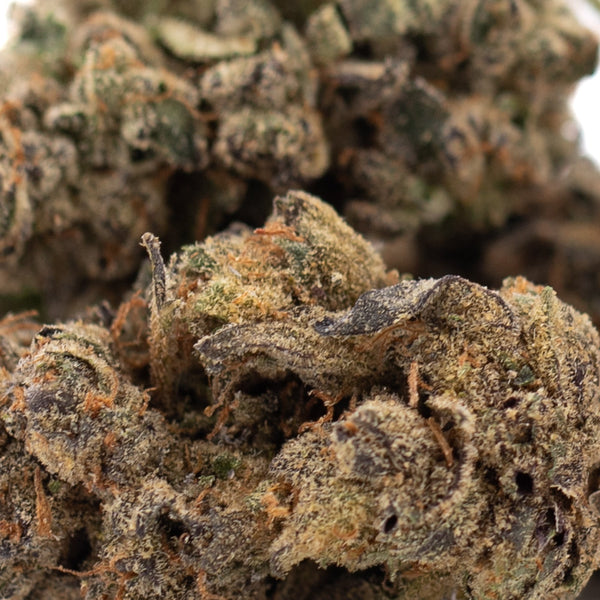 Space Candy Indoor THCa Flower Wholesale