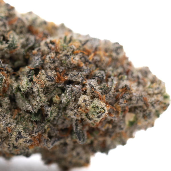 Tropical Punch Indoor THCa Flower Wholesale