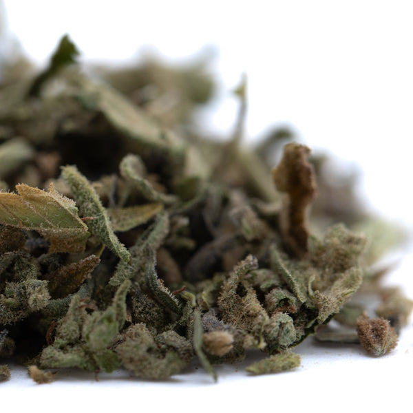 Turtle Taffy Full-Term THCa Trim Wholesale