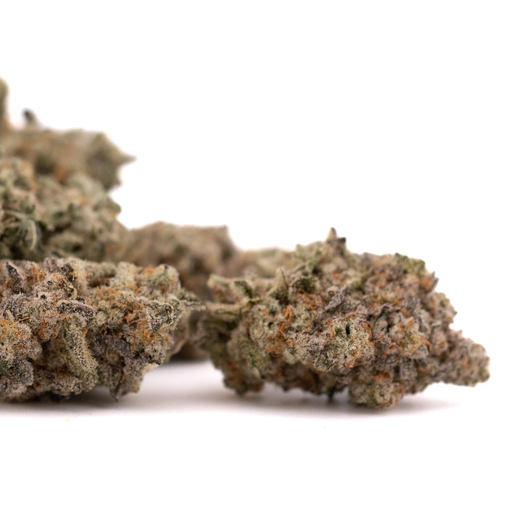 Dried Blue Cookies THCa Indoor Flower cannabis buds showcasing high-quality hemp flower and THCa trim