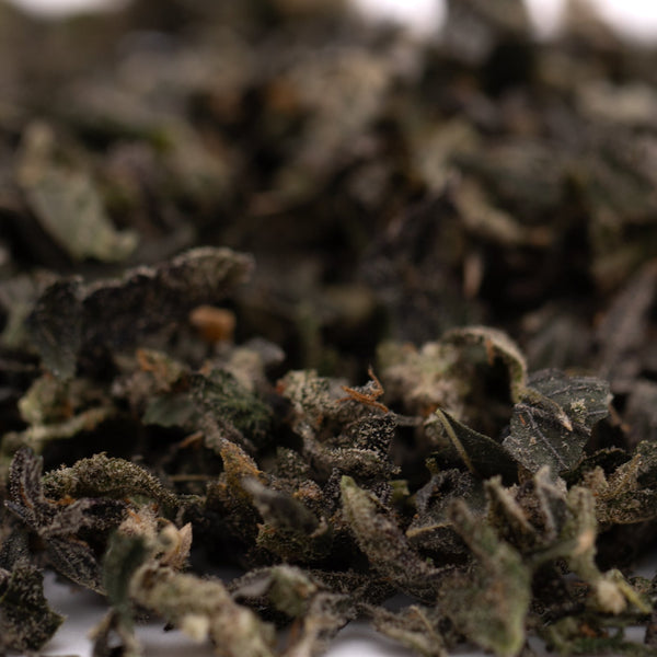 Loose dried green tea leaves from Blue Heron Indoor Trim Wholesale 1LB