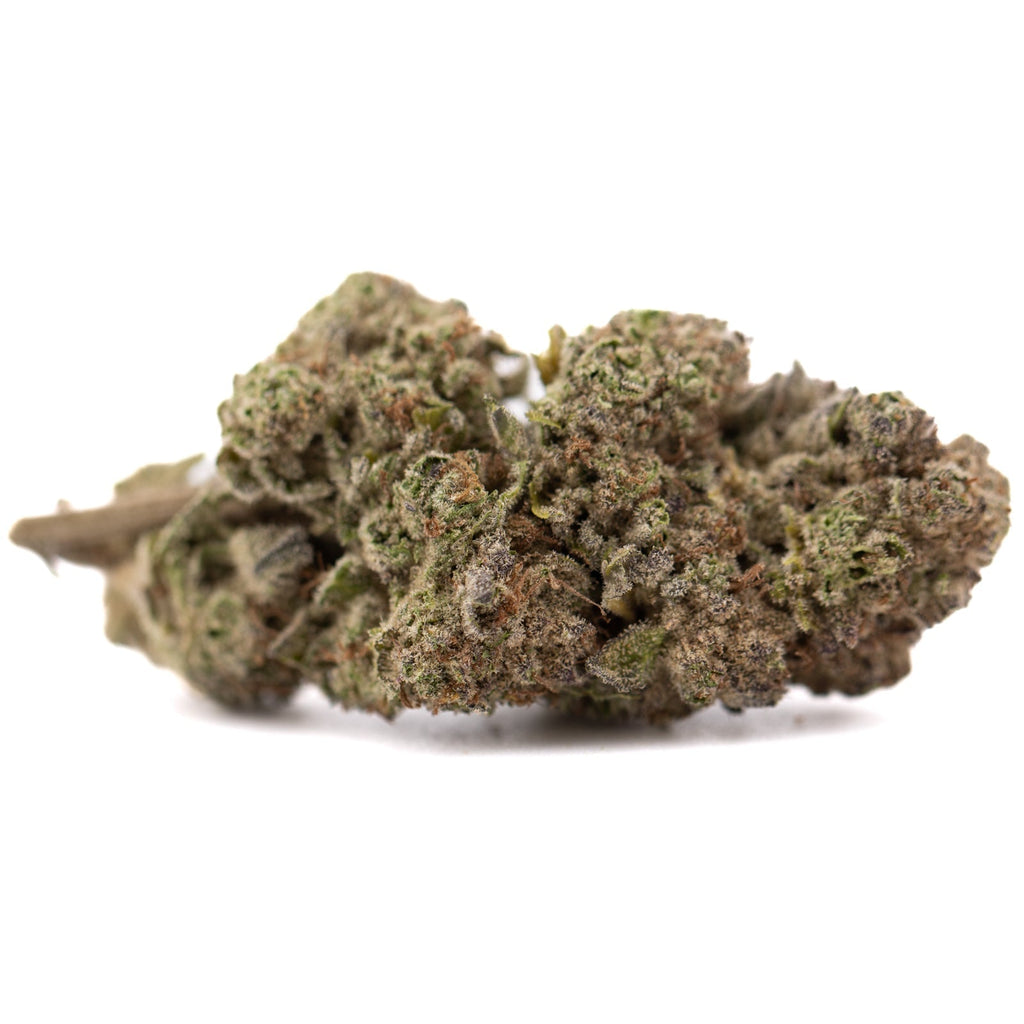 Premium Cali Burger THCa hemp flower bud with dense trichomes and woody pine aroma