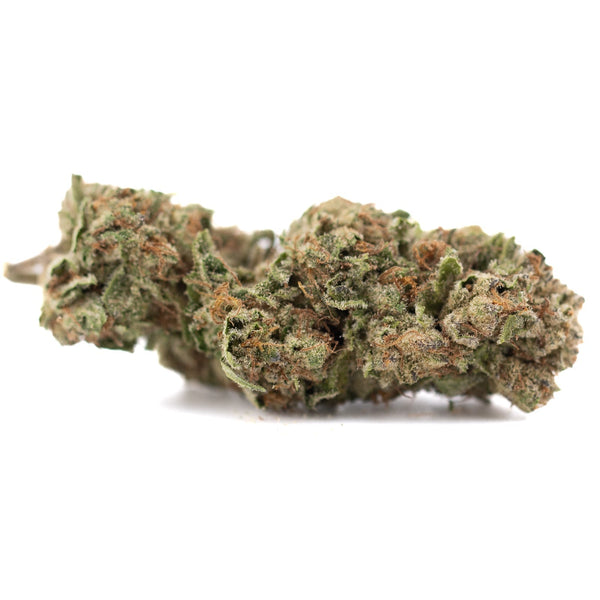 Premium green Candy Pave THCa hemp flower with white trichomes and brown stems