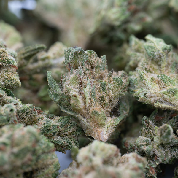 Cheesecake THCa Hemp Flower Smalls - Plants