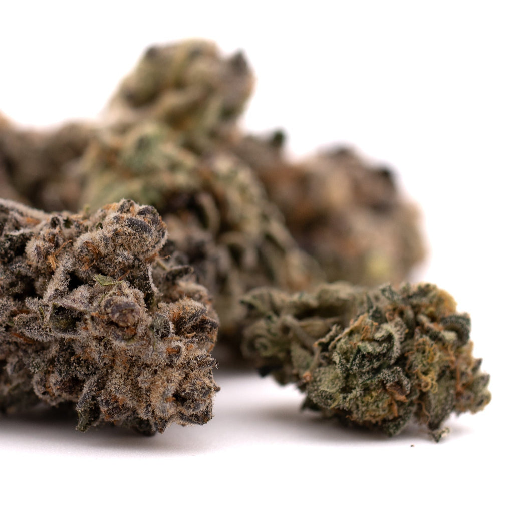 Dried Cherry Pie THCa Indoor Flower buds for premium cannabis experience