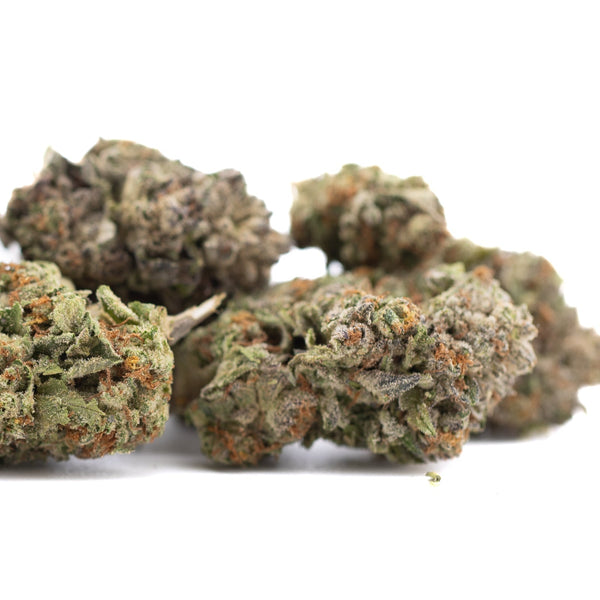 High-quality Gelato THCa Hemp Flower showcasing premium marijuana bud for wholesale buyers