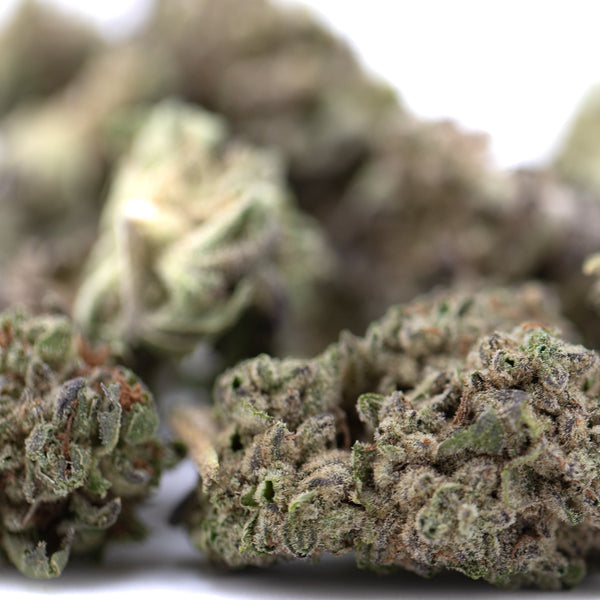 Guava Tartz THCa hemp flower: green bud with white trichomes, purple hues