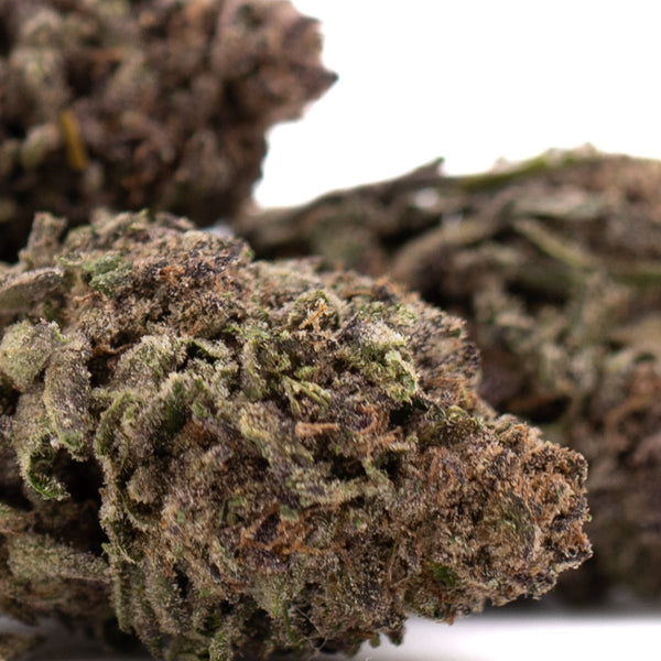 Premium Halle Berry THCa hemp flower bud with dense trichomes