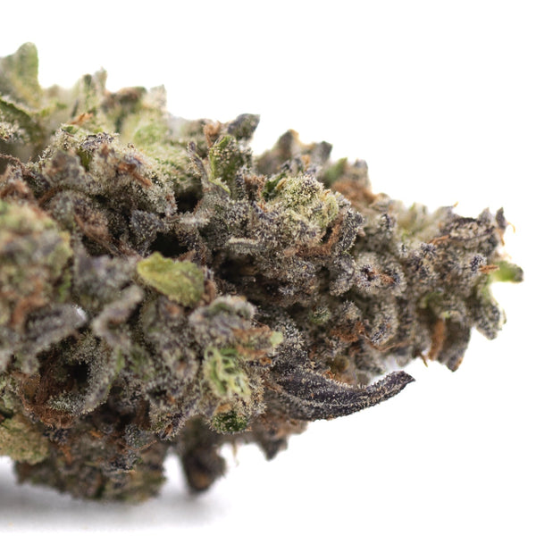 Premium Jealousy THCa hemp flower bud with green purple hues and trichomes