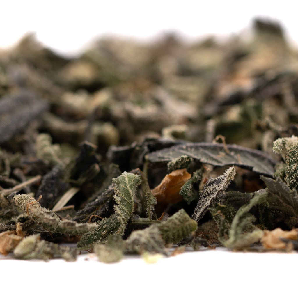 Loose green tea leaves for Lung Buster Indoor Trim Wholesale 1LB, ideal for hemp flower processing
