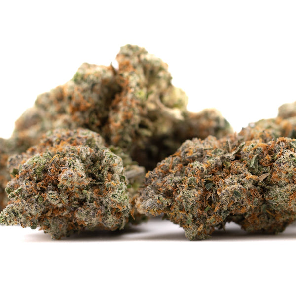 Premium Nectarine Jelly THCa flower bud with vibrant green orange hues and dense trichomes