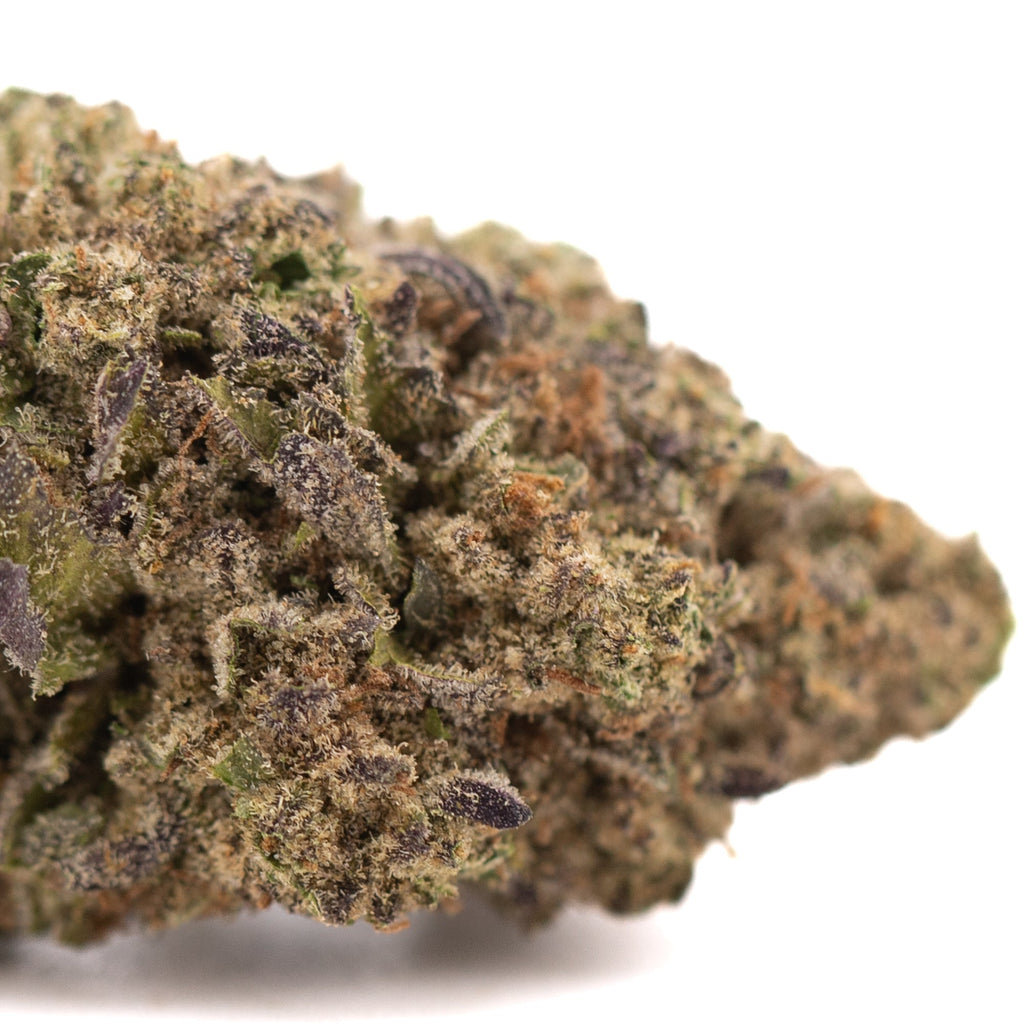 Purple and green Peach Pie THCa hemp flower bud with trichomes