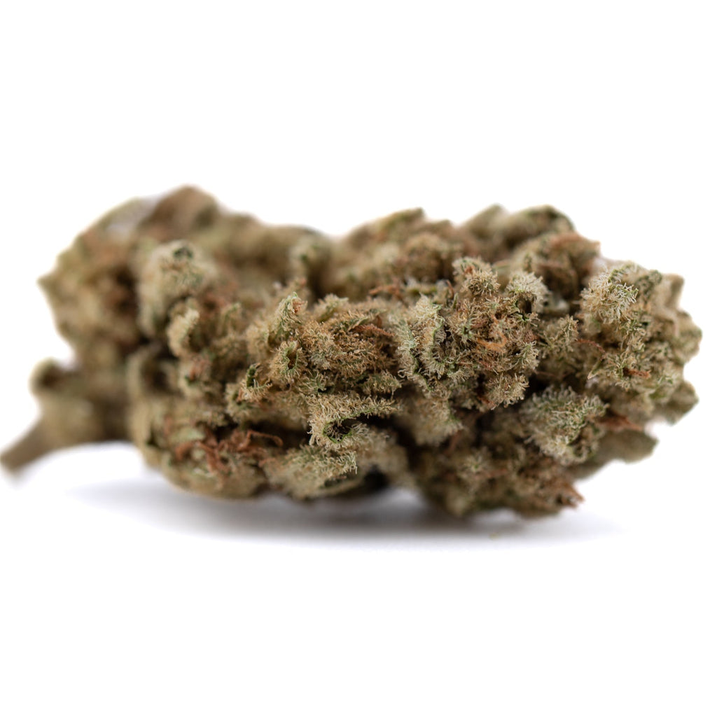 Dense trichome-covered Sour Diesel organic THCa flower bud