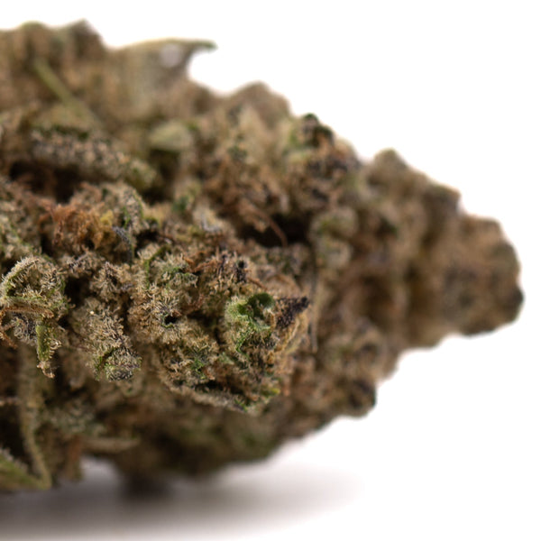 Sunset Sherbet THCa Flower: Purple-Green Bud with Trichomes