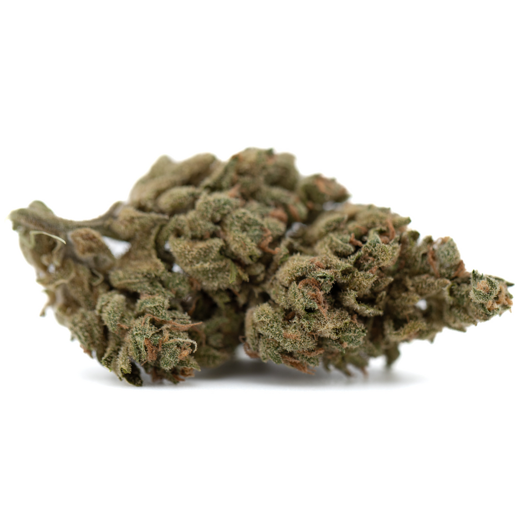 TriCross THCa Flower: Oregon THCa Flower Bud with Green Leaves and Trichomes